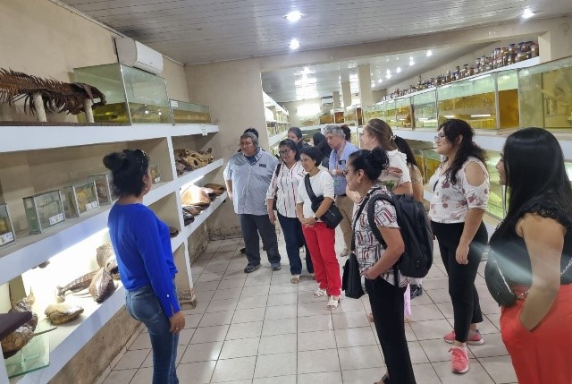 Visita de turistas nacionales