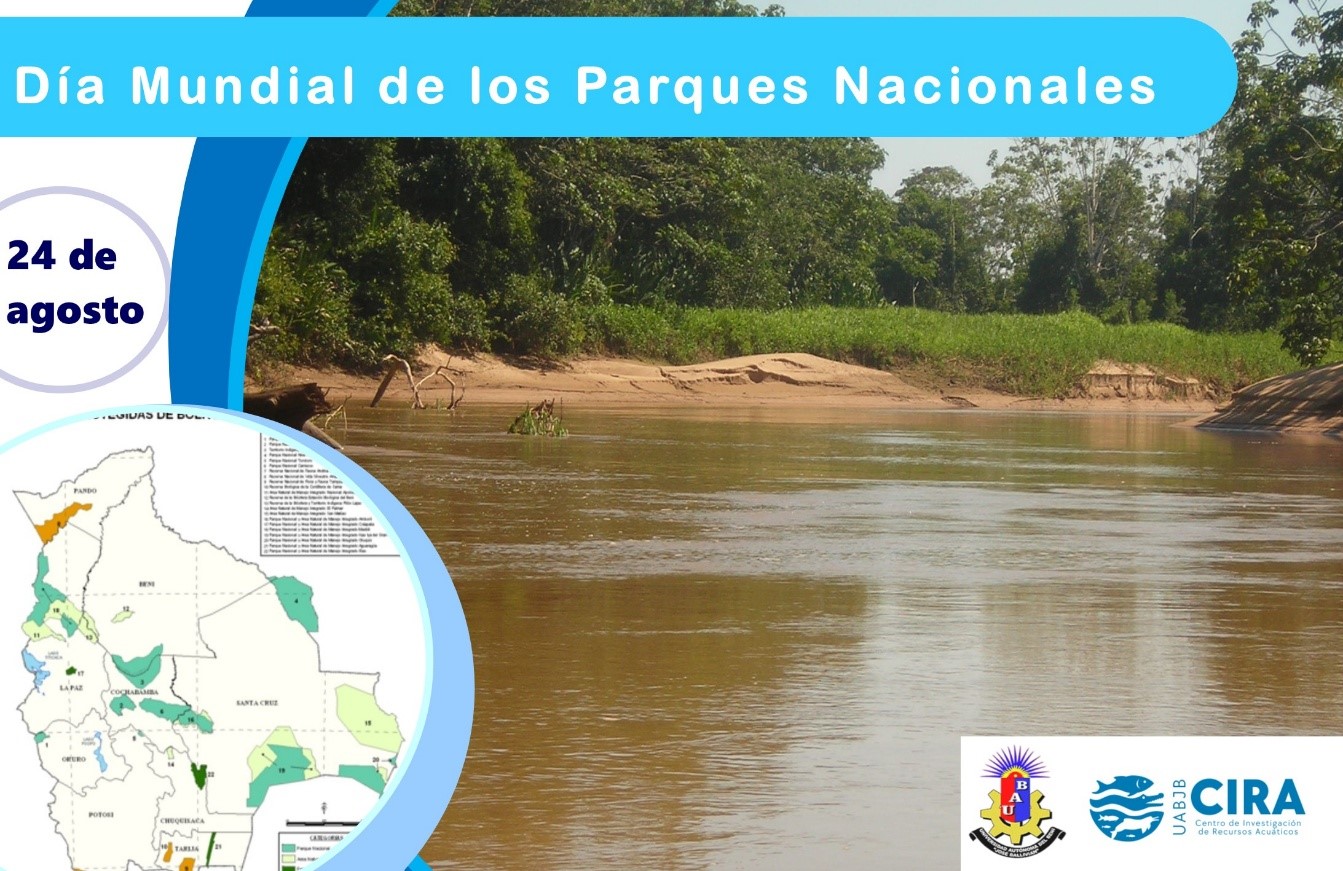 Taller de Conservación