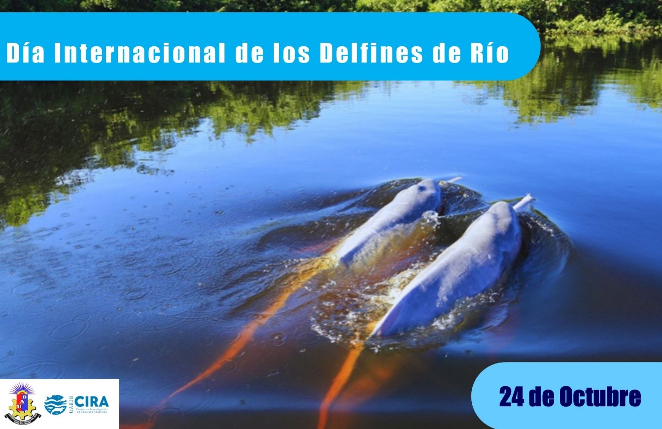 Congreso de Conservación