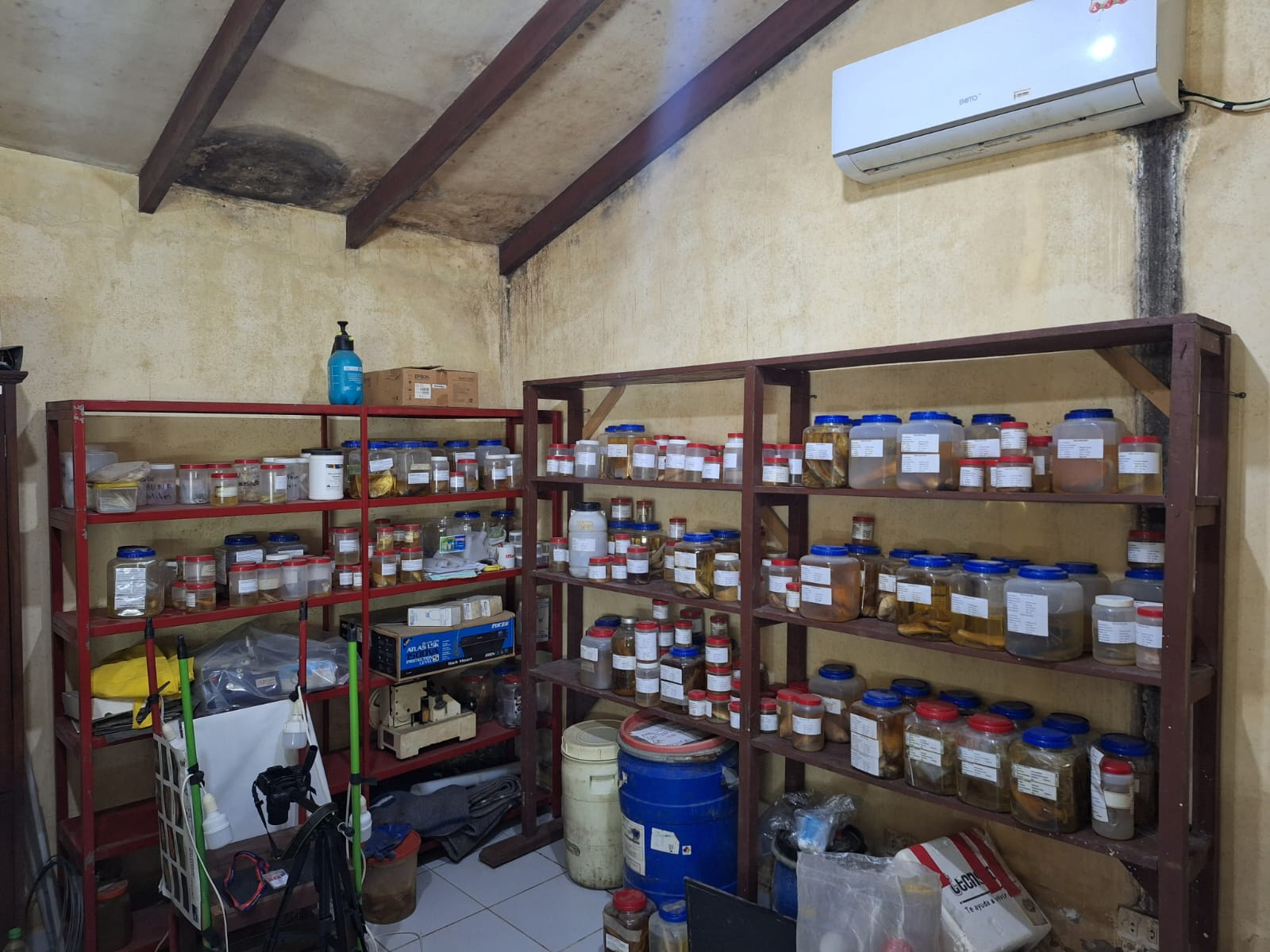 Colección Científica de Ictiología