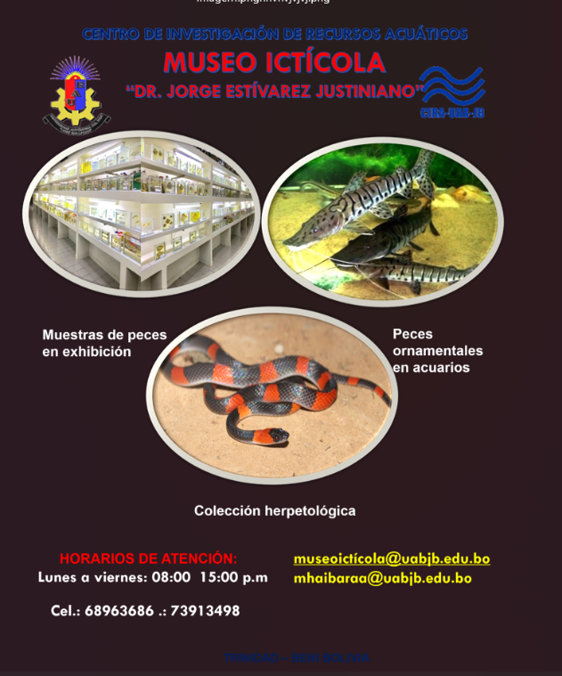 Afiche 2