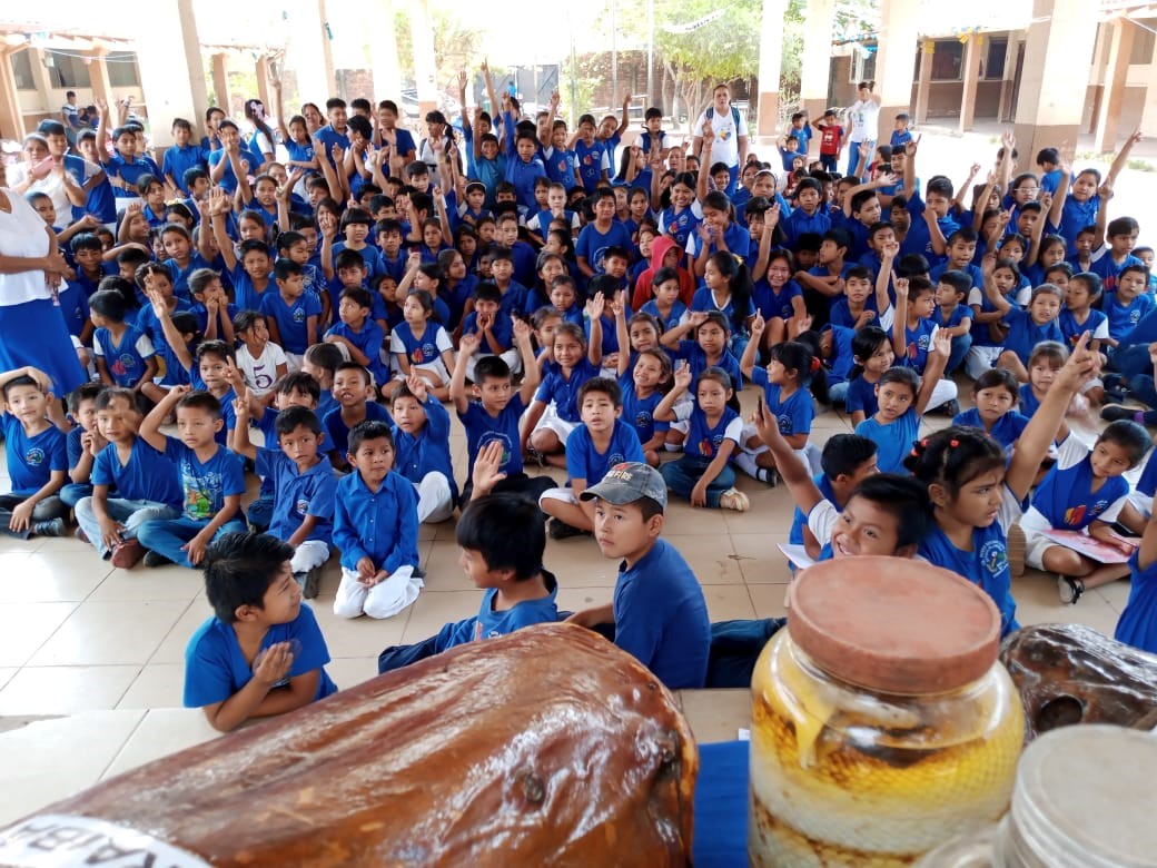 Exposiciones temporales a estudiantes de primaria urbanas