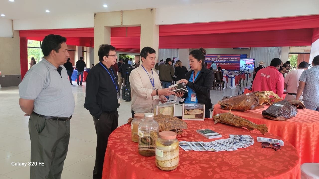 Actividad de extensión 18