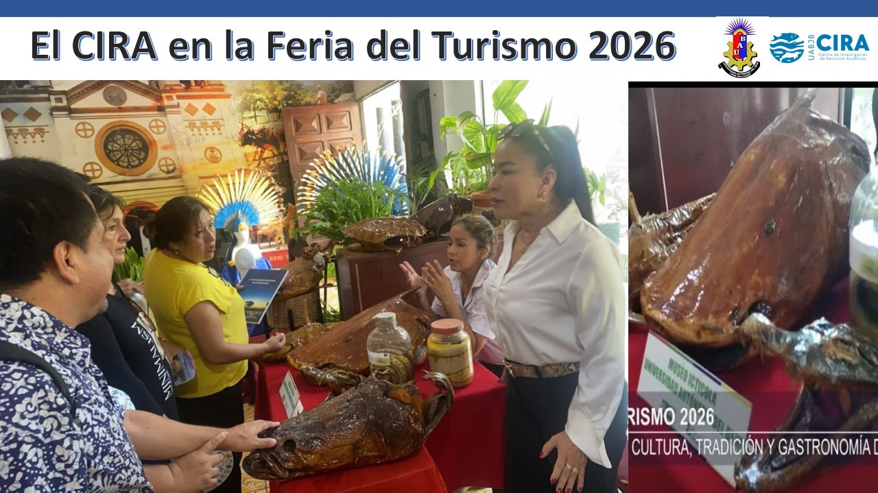 Conservación